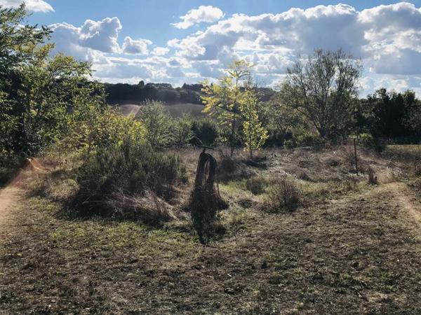 Maison à vendre |  Montaut-les-Créneaux |  3 pièces | 98 m²