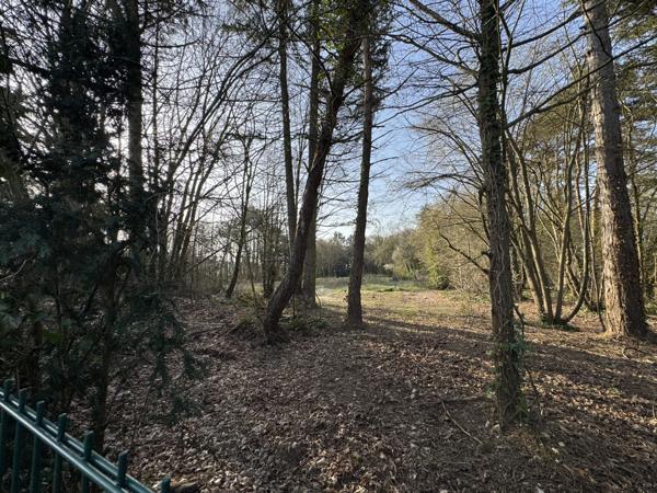 Perthes (77930) terrain constructible