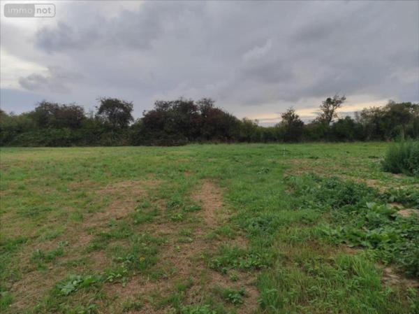 Terrain à Batir à vendre à Sainte-Mère-Église dans la Manche (50480), ref : 50061-1086670