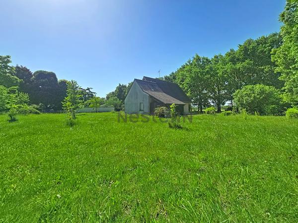 Terrain Saint Cyr Sur Loire 2700 m2