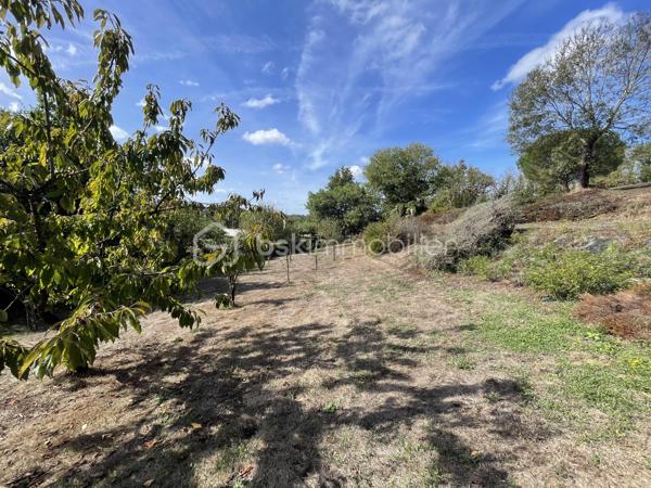 Dans un environnement calme et recherché, en hauteur de Mareuil-sur-Lay-Dissais, venez découvrir ce beau terrain constructible d’environ  1000m², offrant une vue dégagée sur la campagne environnante.

 Ensoleillé et sans vis-à-vis, ce terrain bénéficie d’un cadre privilégié pour réaliser votre future maison, dans un environnement paisible tout en restant à proximité des commodités de la commune.
Le terrain est partiellement viabilisé et bénéficie d’une allée privative en indivision avec un second propriétaire, permettant d’accéder facilement à la parcelle.
Autre atout : terrain libre de constructeur, vous laissant toute liberté dans le choix de votre constructeur et dans la conception de votre projet.

Les + :
•	Terrain constructible d’environ 1000 m²
•	Belle situation en hauteur
•	Vue dégagée
•	Ensoleillé
•	Sans vis-à-vis
•	Environnement calme
•	Partiellement viabilisé
•	Libre de constructeur
•	Allée privative en indivision

Un terrain offrant un cadre idéal pour construire une maison à votre image, dans un environnement agréable et préservé.
📞 Pour plus d’informations ou organiser une visite, contactez-moi.