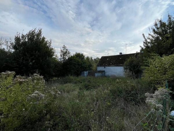 Vente / Maison à Étreux (02510)