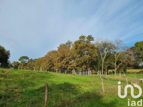 Maison à vendre 7 pièces 173 m² Bénesse-lès-Dax