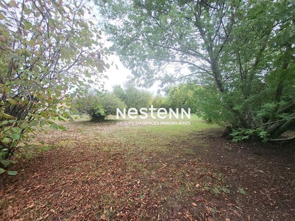 A VENDRE - EAUNES - TERRAIN VIABILISE  DE 518 M² - VIABILISE