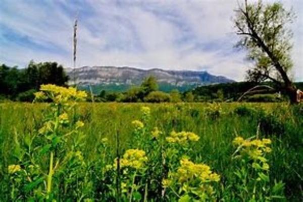 Maison à vendre 4 pièces VIVIERS DU LAC (73)