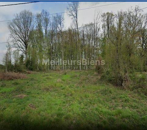 COURTENAY (45320) - DOMAINE STE ANNE - TERRAIN 2376 M² - VIABILISE ET CONSTRUCTIBLE - SEMI-BOISE -