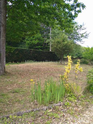 COURTENAY (45320) - DOMAINE STE ANNE - TERRAIN 2376 M² - VIABILISE ET CONSTRUCTIBLE - SEMI-BOISE -
