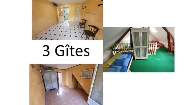 Propriété de 337 m² (hab + gîte + dép) sur 10800m² de terrain.