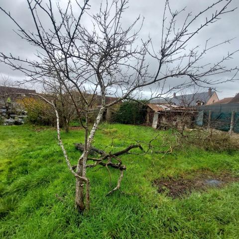 Investiseurs ou premier achat