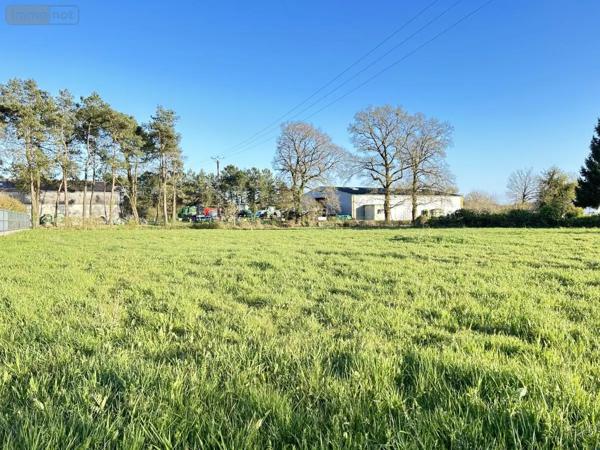 Achat - Terrain à bâtir Questembert 56230 1156 m 2