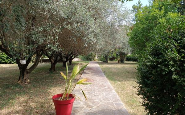 Maison à vendre    7 pièces •  Saint-Ambroix