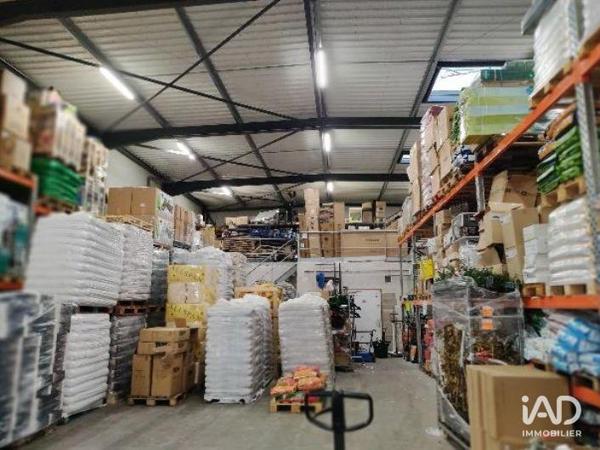 Murs commerciaux  à vendre 6 250 m² Cappelle-la-Grande