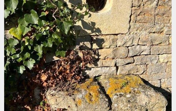 Vente Maison Villefagnan   