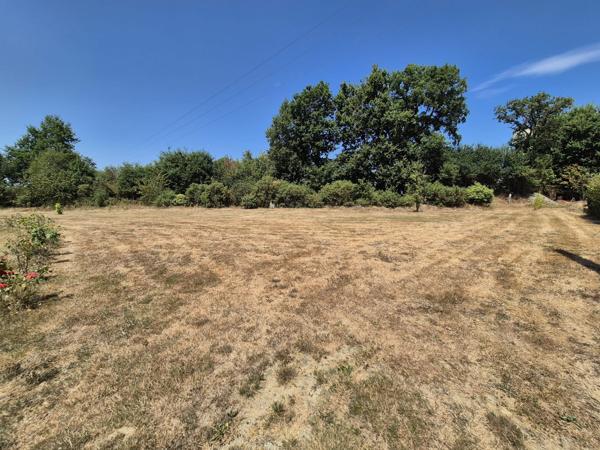 Terrain constructible d'environ 2000m²