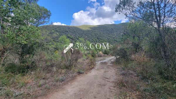 Propriete 16 pièce(s) 8 chambre(s) 450 m²