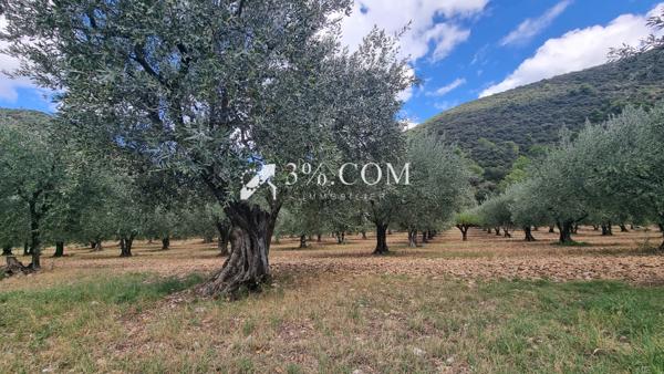 Propriete 16 pièce(s) 8 chambre(s) 450 m²