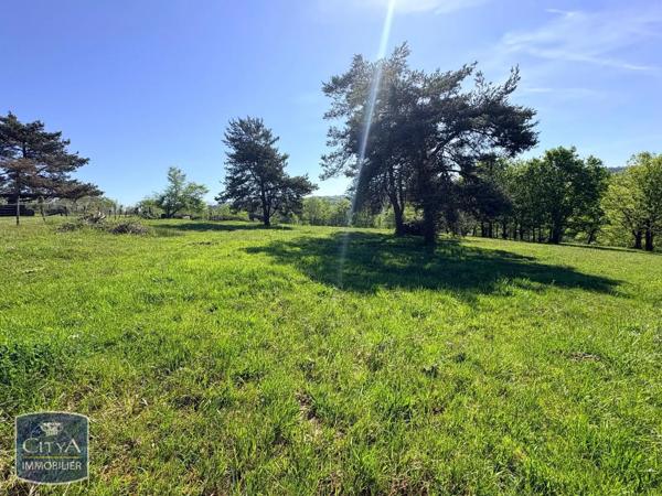 Terrain à vendre 5006m² Cosnac (19360)