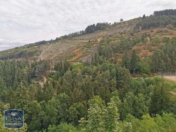 Appartement à louer 1 pièce 34.6m²