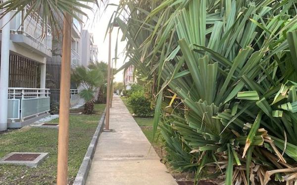 Appartement à louer    2 pièces •  Le Moule