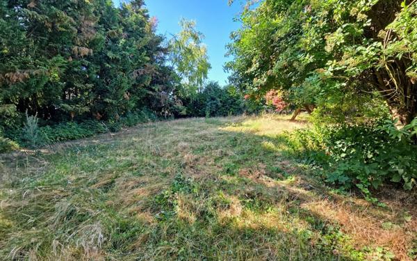 Maison à vendre    7 pièces •  Toury