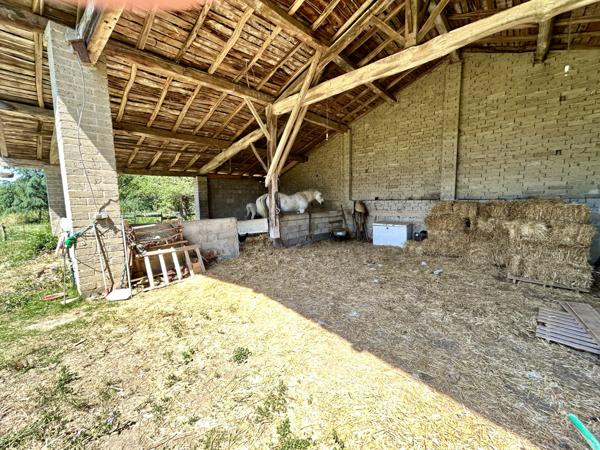 Lagraulet-Saint-Nicolas (31480) Au paradis des chevaux !