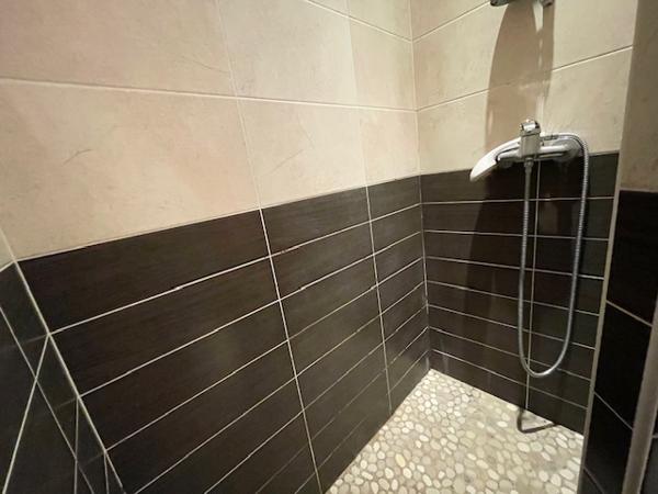 La Meignanne (49770) Maison ancienne + dépendances sur 2000 m²