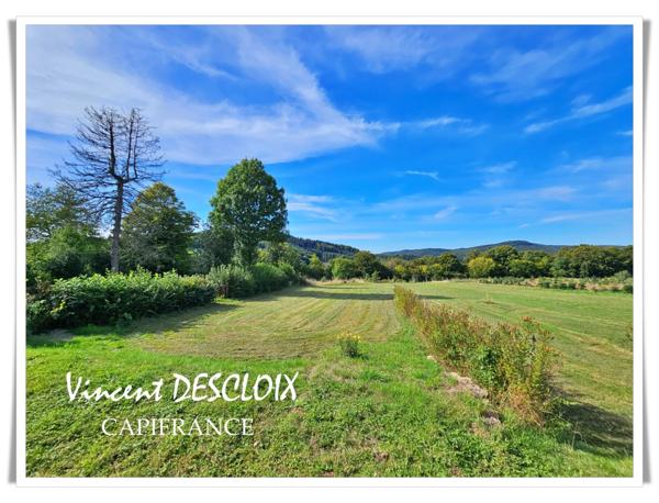Propriété à vendre 257m² 8 pièces à DUN LES PLACES (58) terrain 9300m²