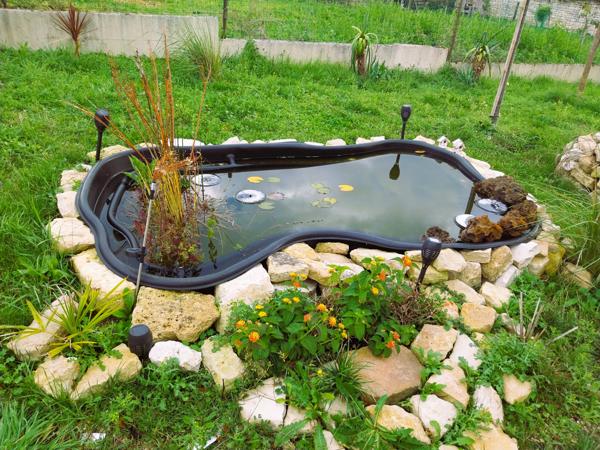 Brie-sous-Matha (17160) Maison en pierre atypique de 220 m² – Esprit chalet – Terrain 3 250 m² – Brie-sous-Matha