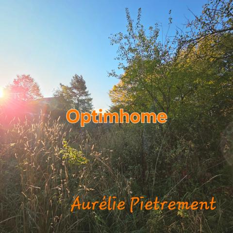 Maison 3 chambres avec garage et terrain