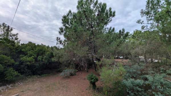 Maison 3 pièces 53 m² CAP FERRET - 33970