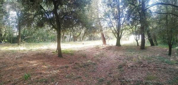 Terrain à Batir à vendre à Saint-Pierre-d'Oléron en Charente-Maritime (17310), ref : DD/JOM/25-12   
LA MENOUNIÈRE