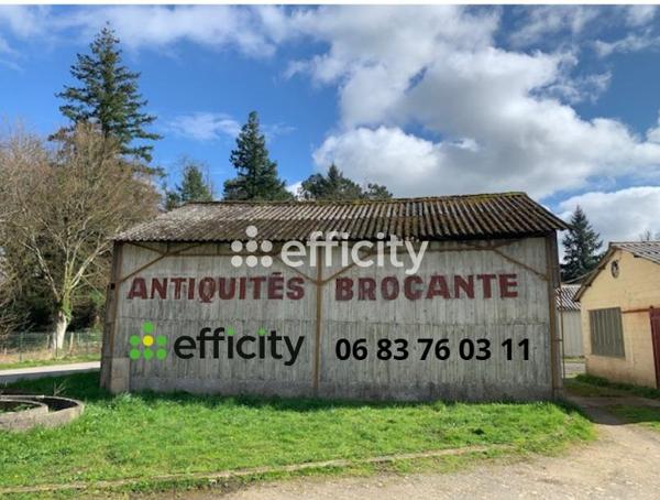 Local Commercial 1 pièce - 4269 m² Exclusivité efficity