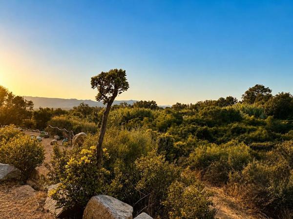 FIGARI , VILLA CONTEMPORAINE AVEC POTENTIEL INDÉPENDANT