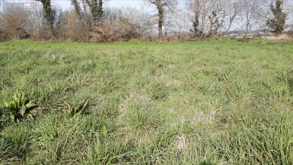 Terrain à Batir à vendre à Carhaix-Plouguer dans le Finistère (29270), ref : 29066-949612