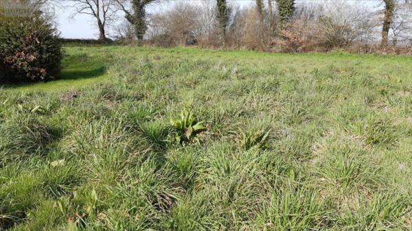 Terrain à Batir à vendre à Carhaix-Plouguer dans le Finistère (29270), ref : 29066-949612