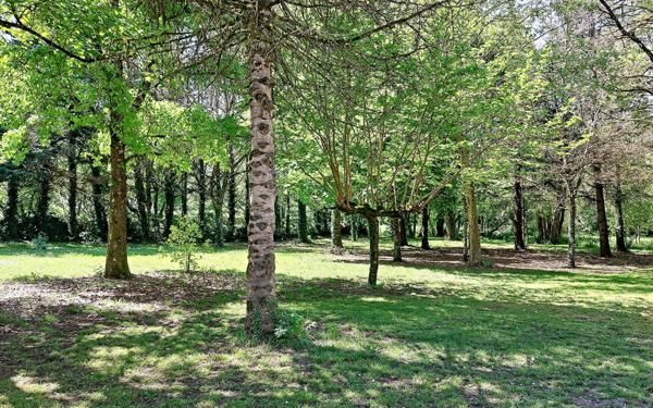 Maison à vendre    6 pièces •  Saint-Astier