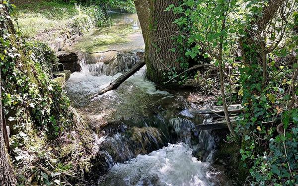 Maison à vendre    6 pièces •  Saint-Astier