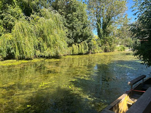 Ensemble immobilier à L'ILE D'ELLE