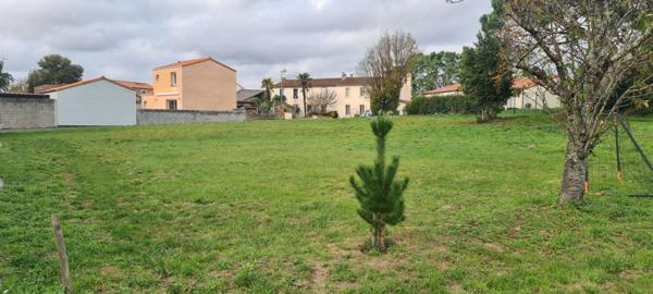 Terrain constructible, libre de constructeur, non viabilisé, Gorges 1161 M² avec 401 M² en zone Uc