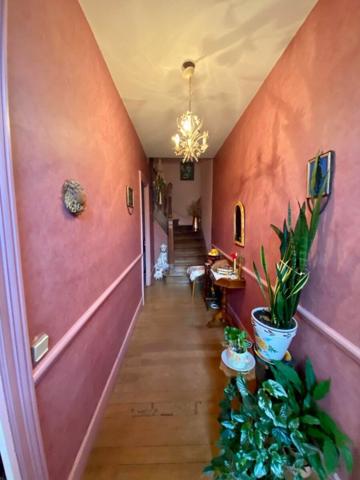 Maison à vendre    5 pièces •  Mazamet