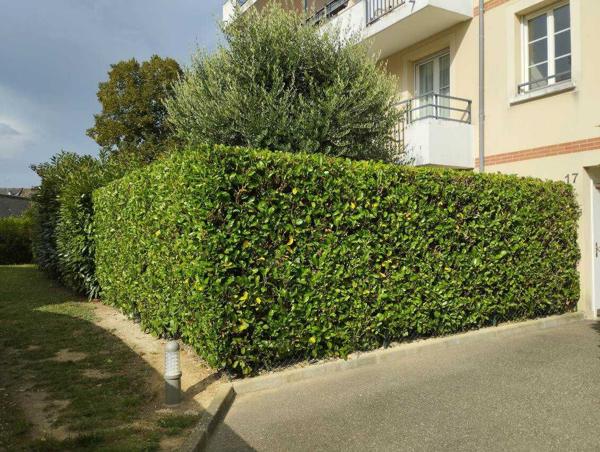 appartement avec jardin