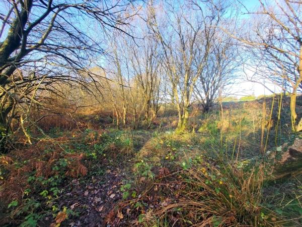 Terrain à vendre TELGRUC SUR MER (29)