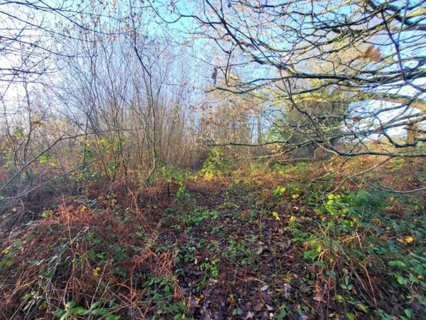 Terrain à vendre TELGRUC SUR MER (29)