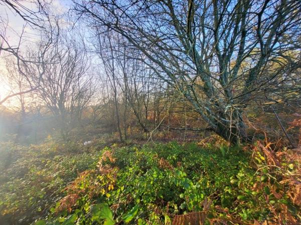 Terrain à vendre TELGRUC SUR MER (29)