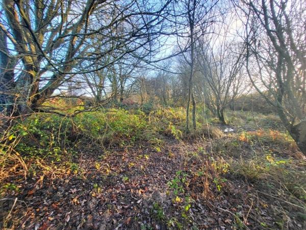 Terrain à vendre TELGRUC SUR MER (29)