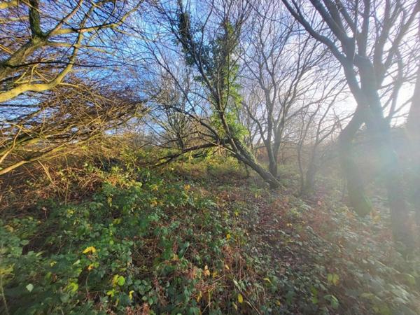 Terrain à vendre TELGRUC SUR MER (29)