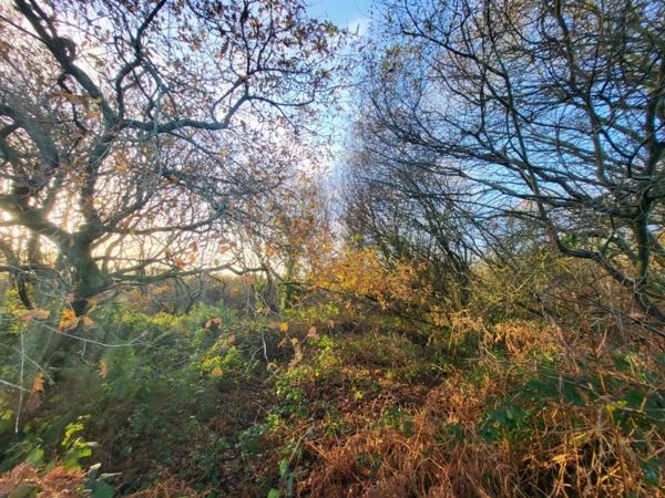 Terrain à vendre TELGRUC SUR MER (29)