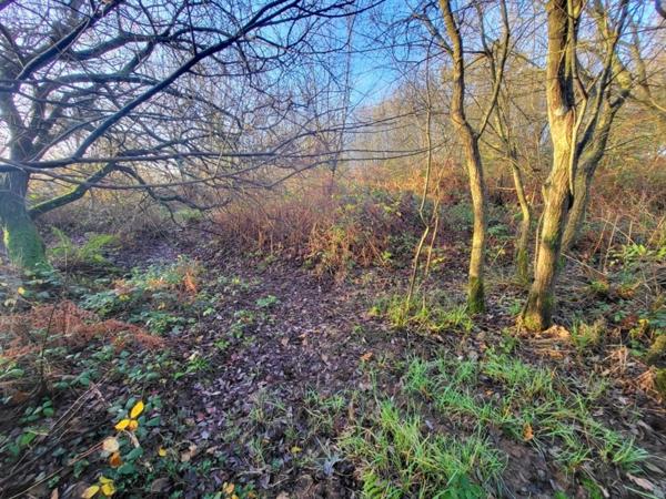 Terrain à vendre TELGRUC SUR MER (29)