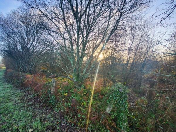 Terrain à vendre TELGRUC SUR MER (29)