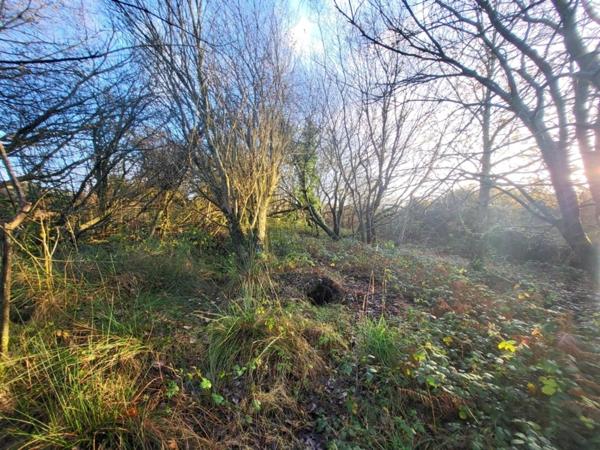 Terrain à vendre TELGRUC SUR MER (29)